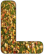 Herbstbuchstabe-L.jpg